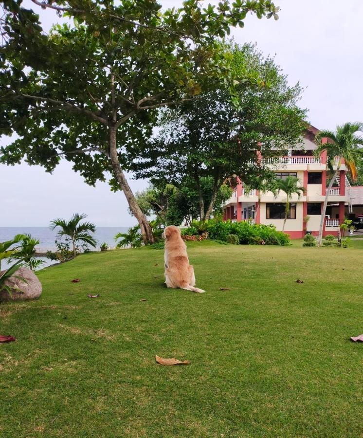Wuthering Heights Bed & Breakfast By The Sea Dumaguete City Luaran gambar