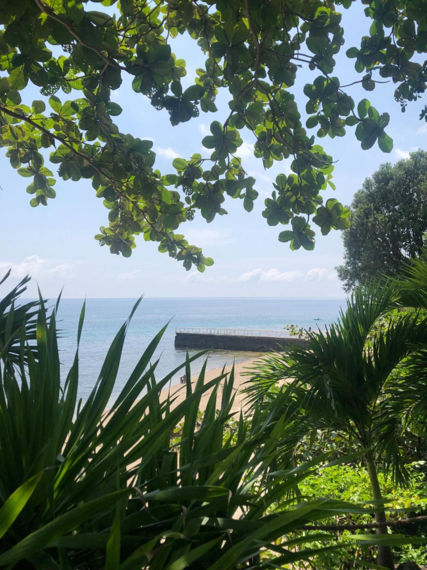 Wuthering Heights Bed & Breakfast By The Sea Dumaguete City Luaran gambar