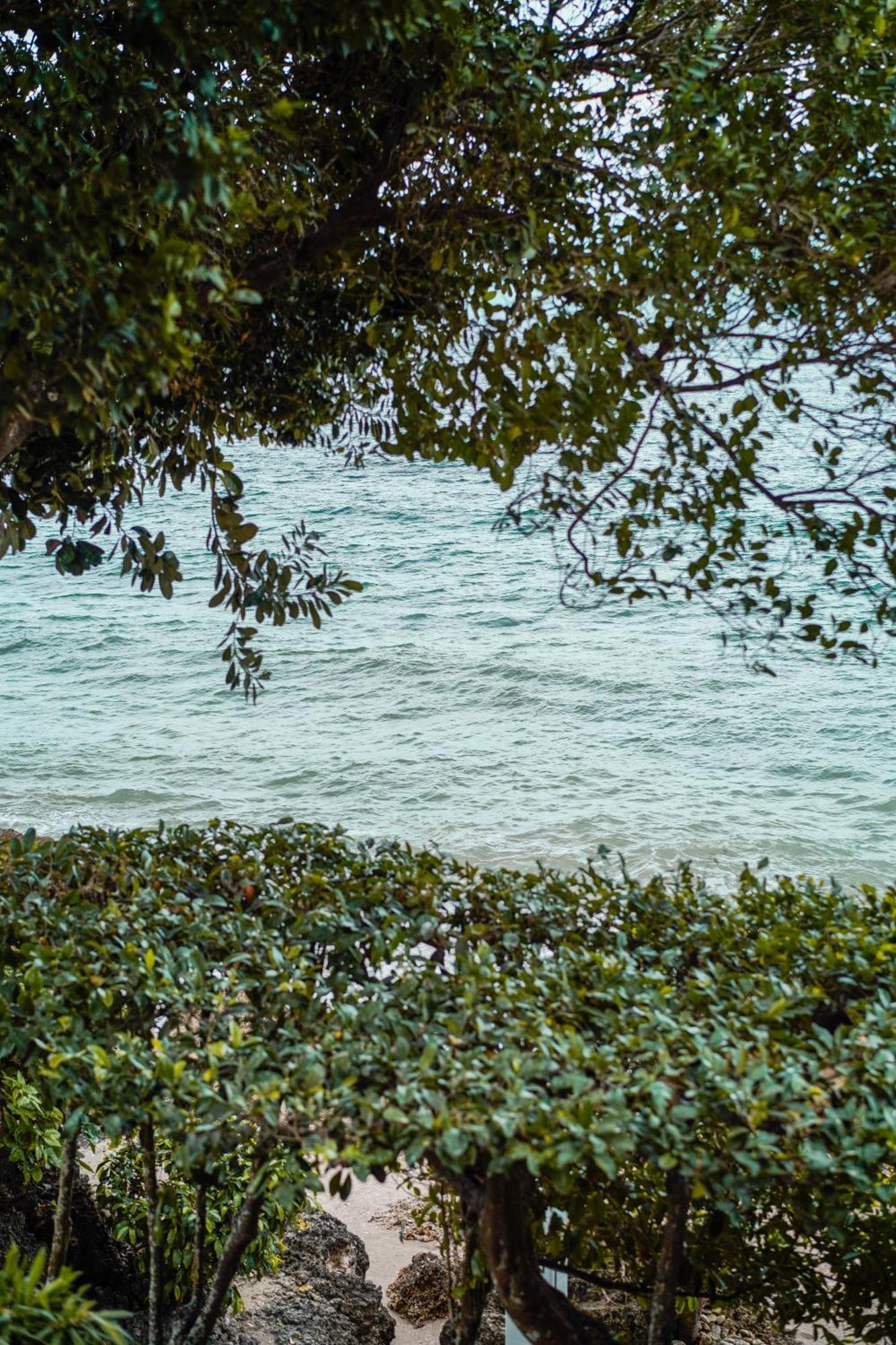 Wuthering Heights Bed & Breakfast By The Sea Dumaguete City Luaran gambar